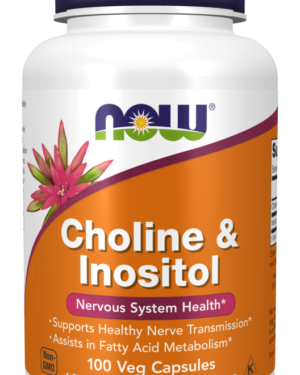Choline & Inositol 500 mg 100 Cápsulas Now