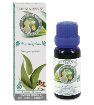 Óleo Essencial De Eucalipto 15 Ml Marnys