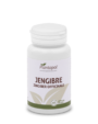 Gengibre 60 Cápsulas Plantapol