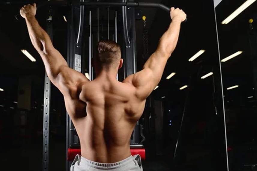 Creatina: Descubra os Seus Benefícios para a Saúde e Bem-Estar