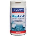 MagAsorb 60 Comprimidos Lamberts