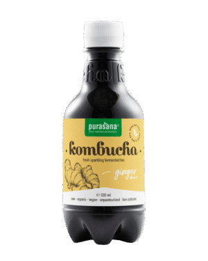 Kombucha Bio 330 Ml Gengibre Purasana