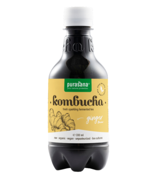 Kombucha Bio 330 Ml Gengibre Purasana