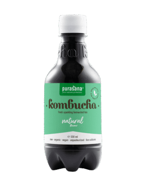 Kombucha Bio 330 Ml Natural Purasana
