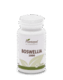 Bowellia 30 Comprimidos Plantapol