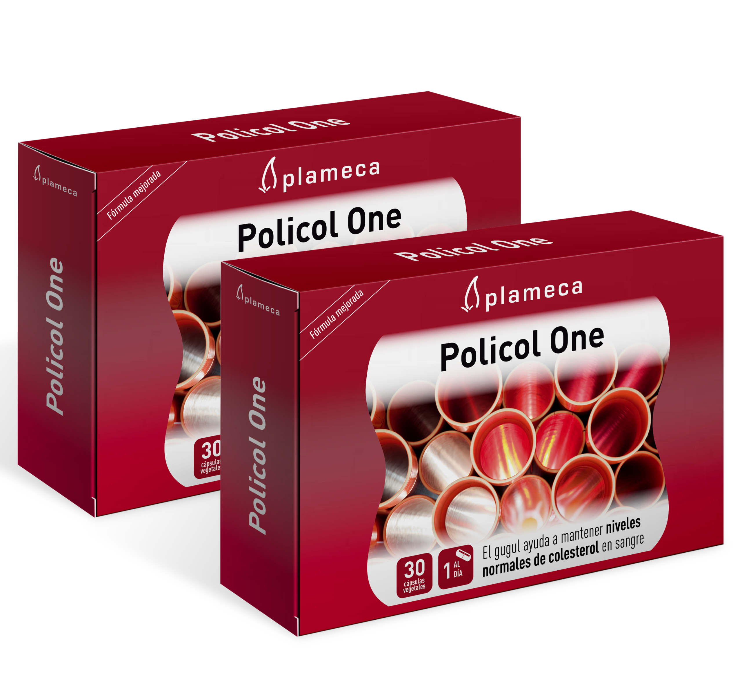 Pack Colesterol (Policol One) Plameca