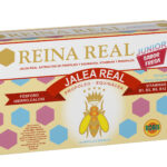 Geleia Real Junior 20 Ampolas Robis