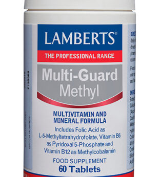 Multi-Guard Methyl 60 Comprimidos Lamberts