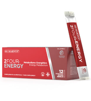 2Four Energy 12 Stick Marnys